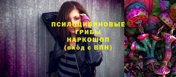 стафф Анжеро-Судженск