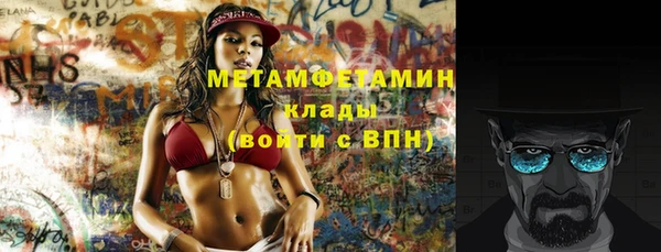шишки Михайловск