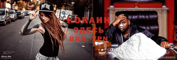 шишки Михайловск